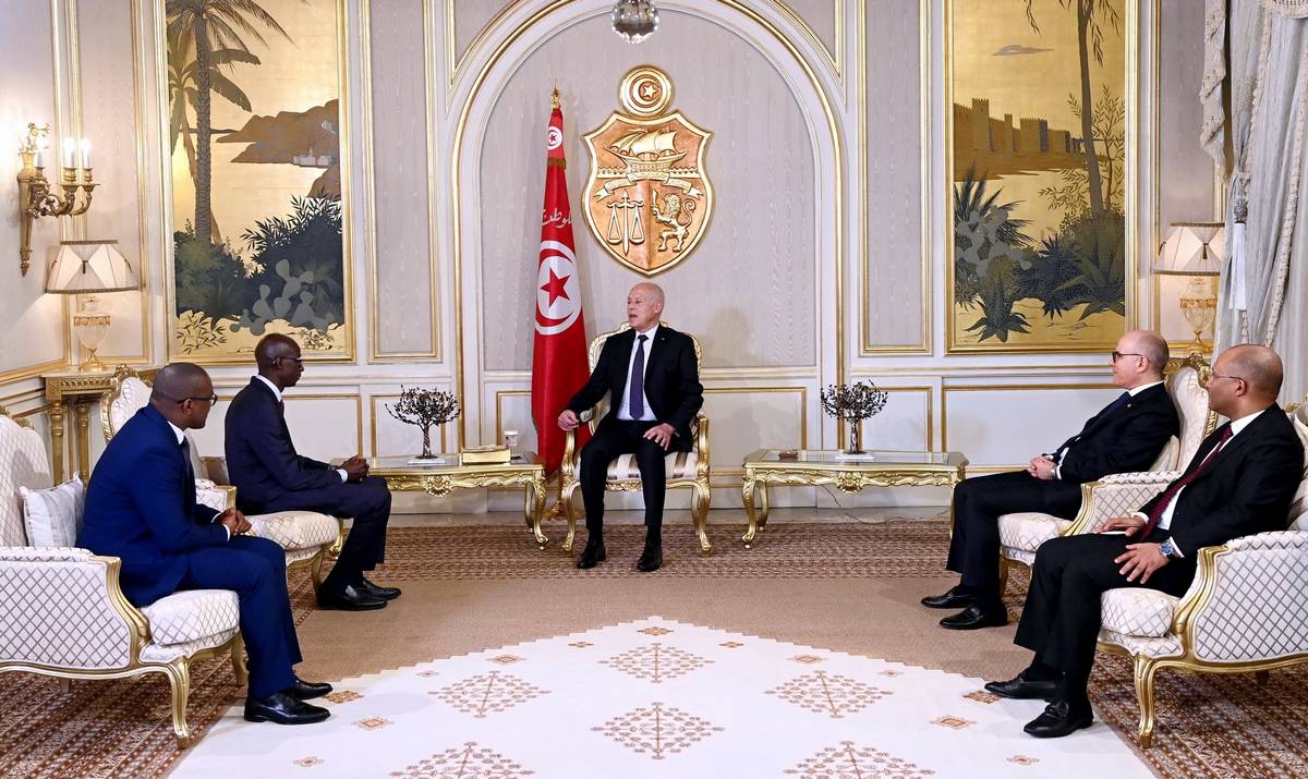 رئيس الجمهورية يتسلّم أوراق اعتماد سفراء جدد في تونس
