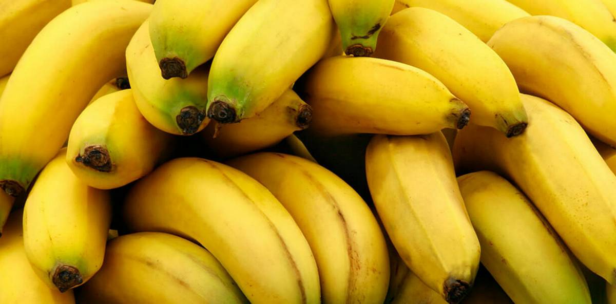 بسعر 5 نانير..الجمعة انطلاق ترويج الموز المورّد من مصر