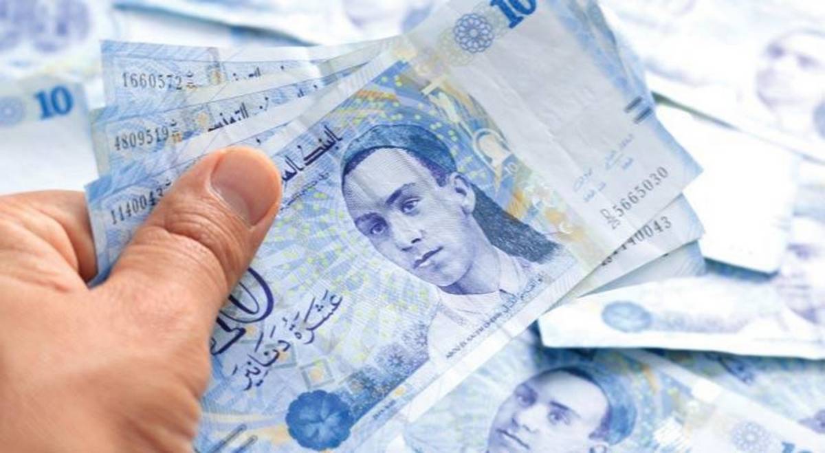 خط تمويل بـ10 مليون دينار من البنك التونسي للتضامن لديوان الأعلاف