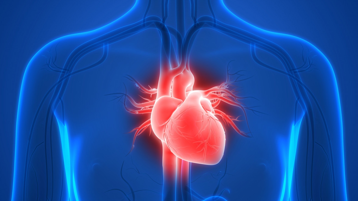 اكتشاف تغيرات خفية في الدماغ لدى المصابين بأمراض القلب
