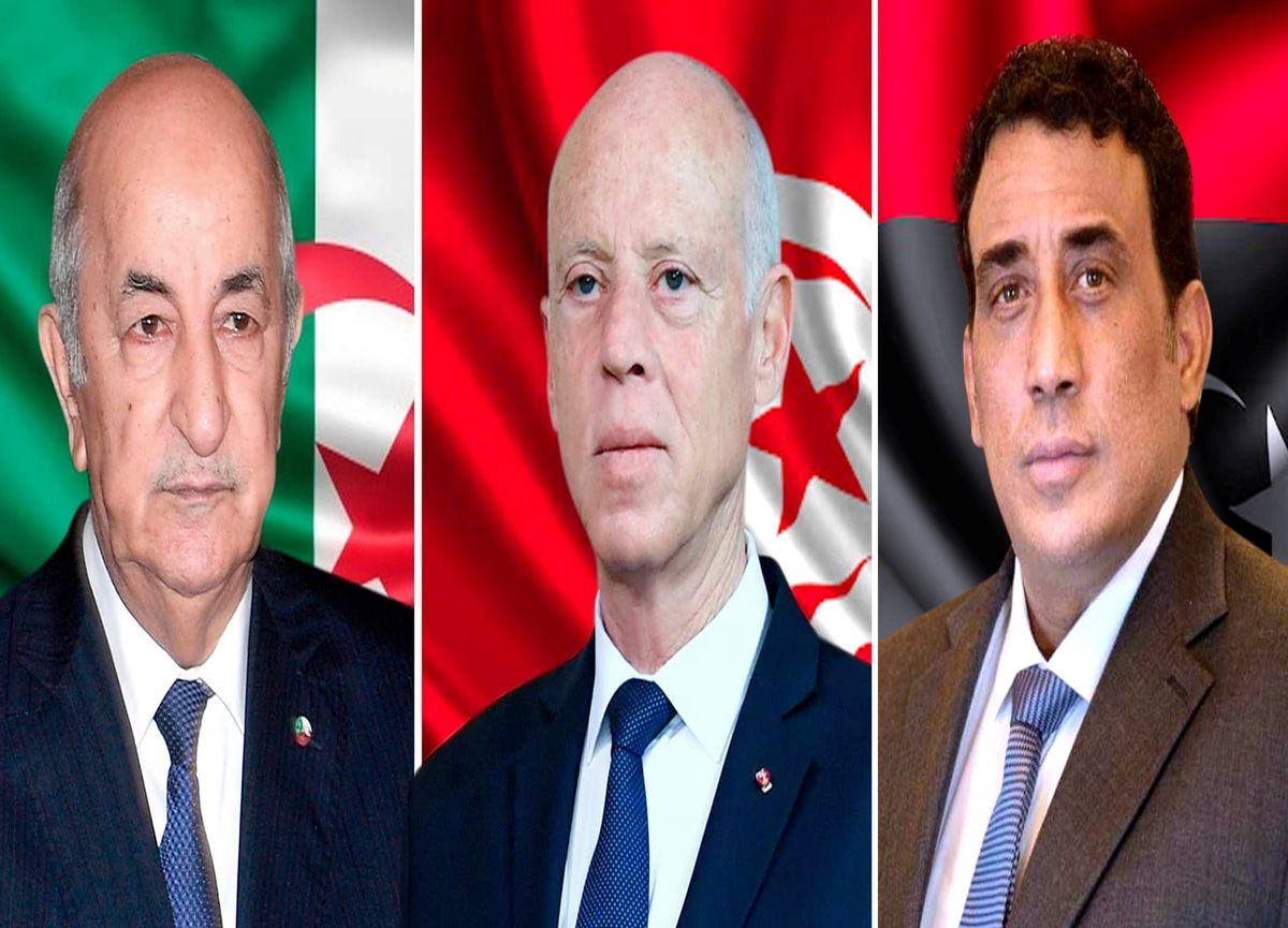 أيّ ثمار سياسية يُمكن أن تجنيها تونس من القمة الثلاثية