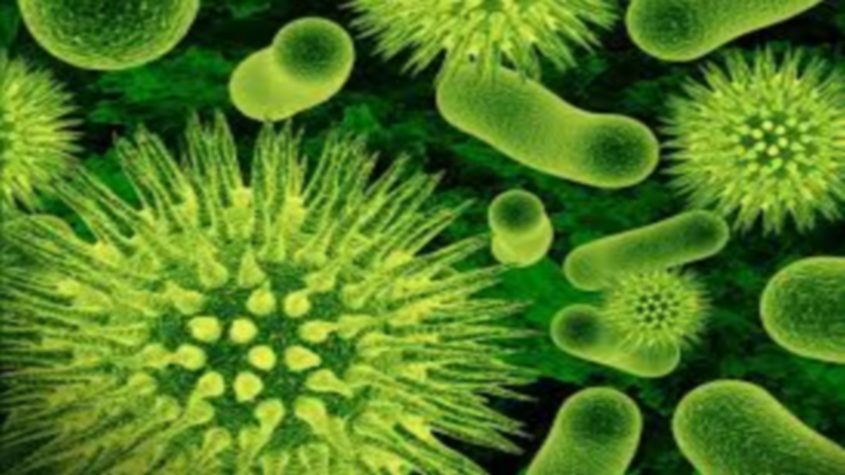 العثور على “بكتيريا مصاصة للدماء” قاتلة متعطشة لدم الإنسان