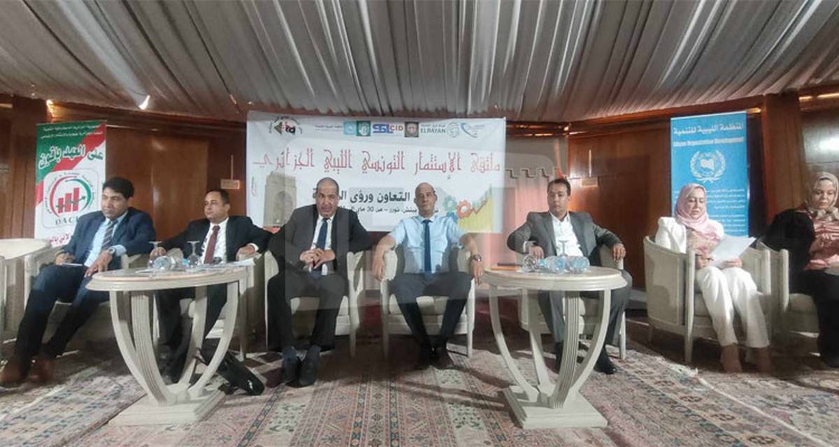النائب عبد الجليل الهاني: المستثمر يتعرض إلى التعطيلات بسبب الهيئة التونسية للإستثمار