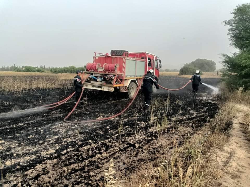 جندوبة : حريق يأتي على 3 هكتارات من القمح في وادي مليز