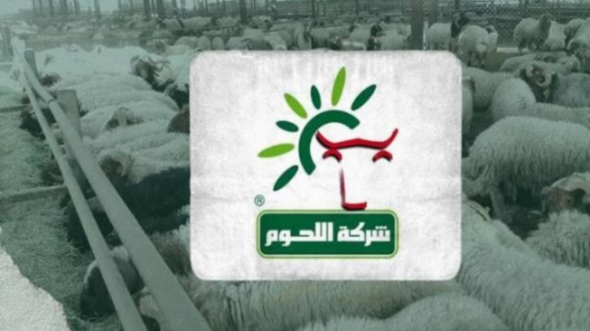 شركة اللحوم تشرع في بيع أضاحي العيد بداية من 8 جوان الجاري