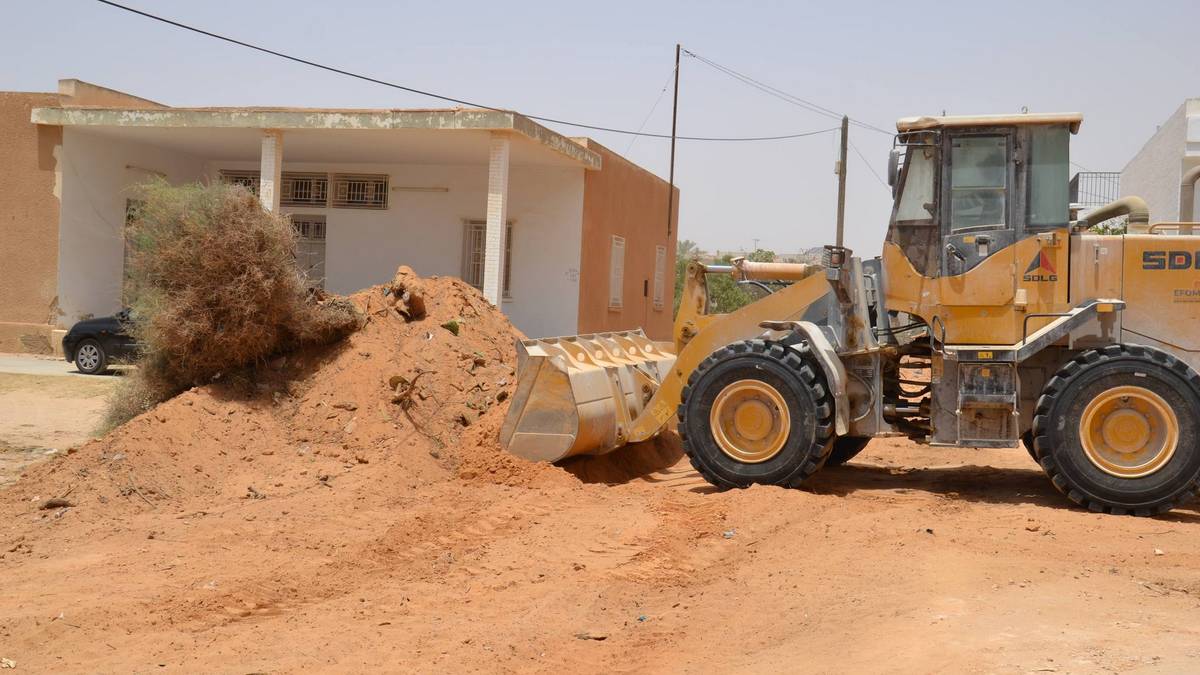 صفاقس : البلدية  تقوم بقلع  طوابي  وكروم هندي  في  سياق محاربة الحشرة القرمزيّة