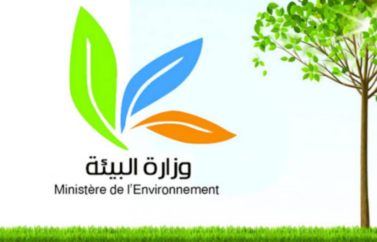 وزارة البيئة: إستهلاك 4,2 مليار كيس بلاستيكي سنويا في تونس