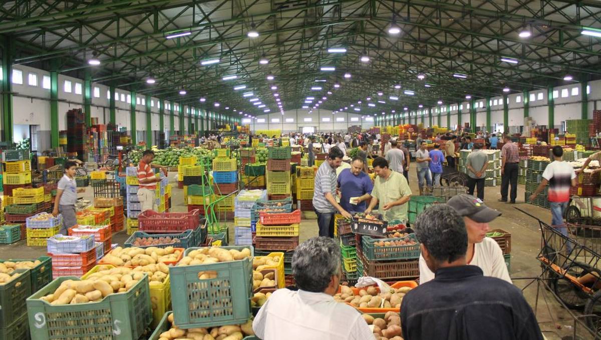 سوق الجملة ببئر القصعة: ارتفاع في أسعار عدة أصناف من الخضر والغلال والاسماك