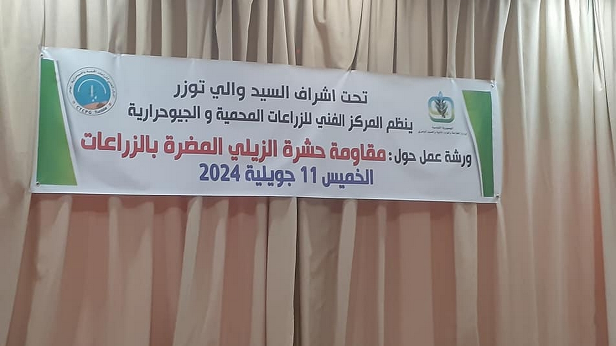 ورشة عمل حول مقاومة حشرة الزيلي بالزراعات الجيوحرارية