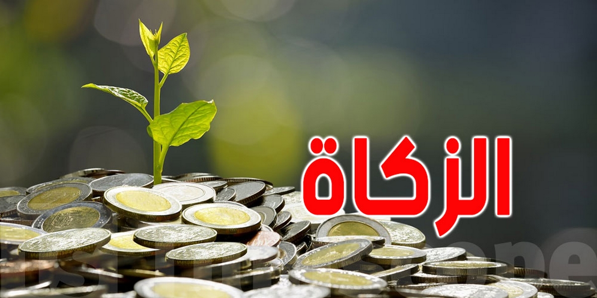 مفتي الجمهورية يعلن عن قيمة زكاة الزيتون والتمر وسائر الثمار