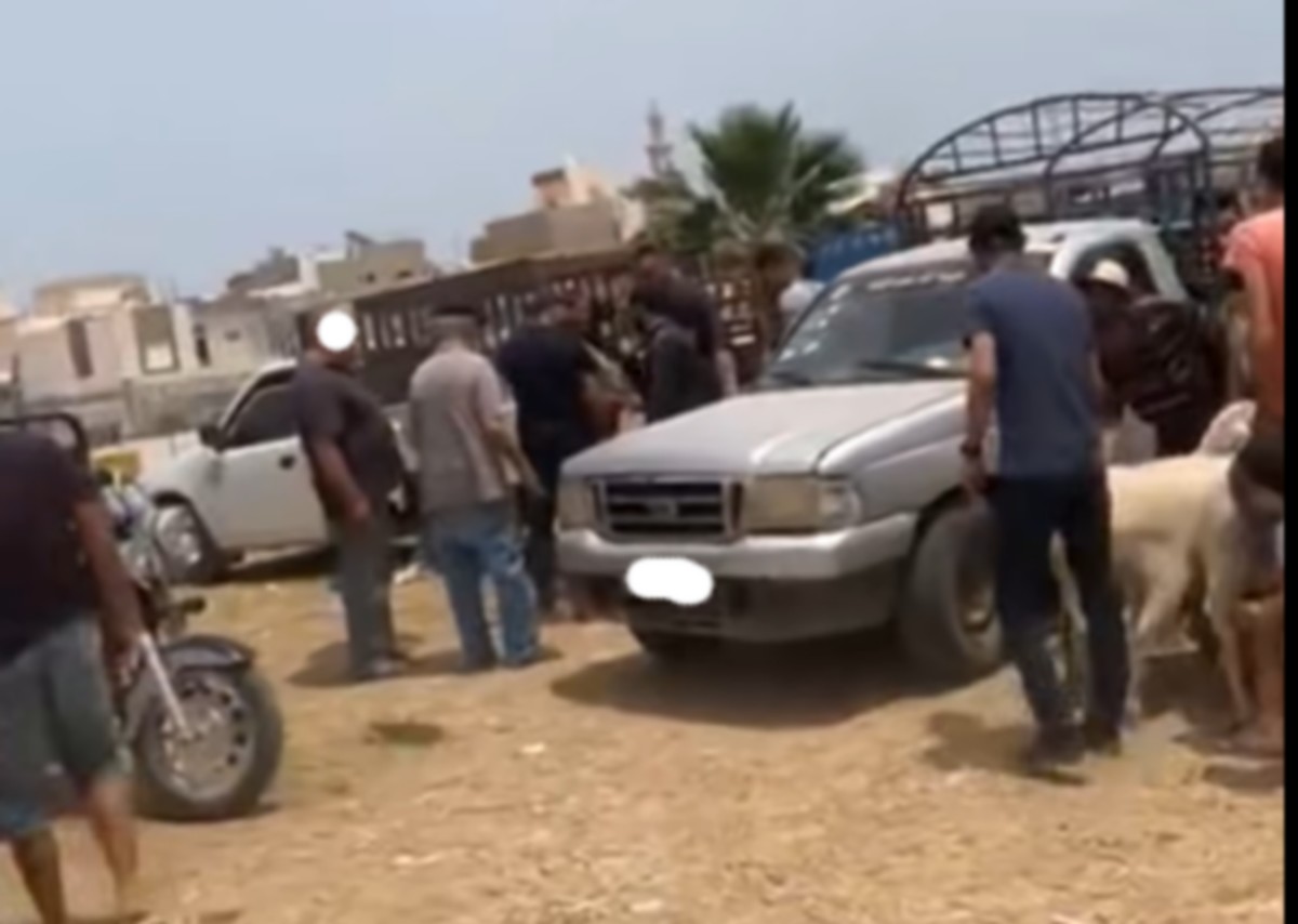 صفاقس : في  غياب من يُدافع عنه ...المواطن يقف  في  وجه  قشّارة الاضاحي ويطردهم من بعض الاسواق
