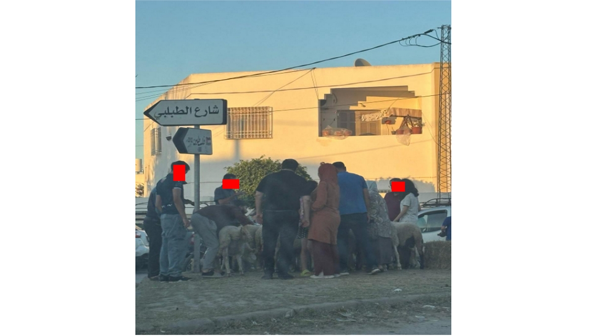 صفاقس : سوق للدواب في بوزيان يعطل حركة المرور