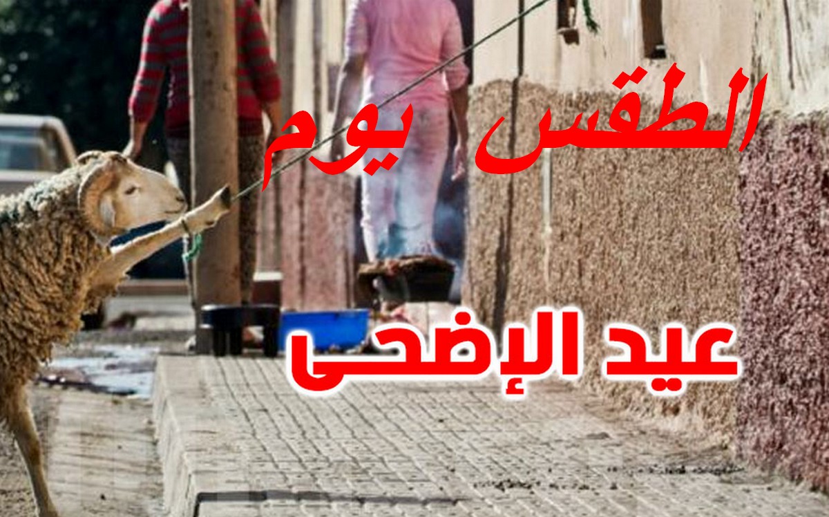 صفاقس : حرارة  مرتفعة  اليوم أول أيام عيد الاضحى المبارك