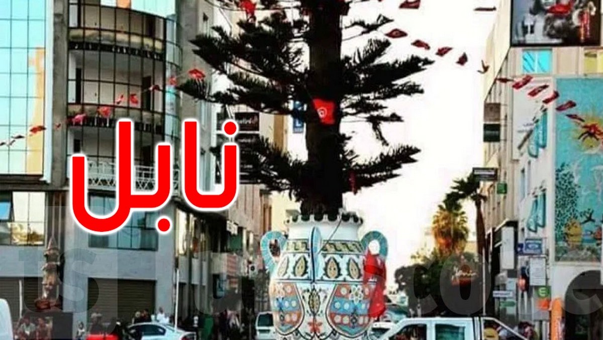 إجتماع اللجنة الجهوية لمتابعة الهياكل المهنية الفلاحية بنابل