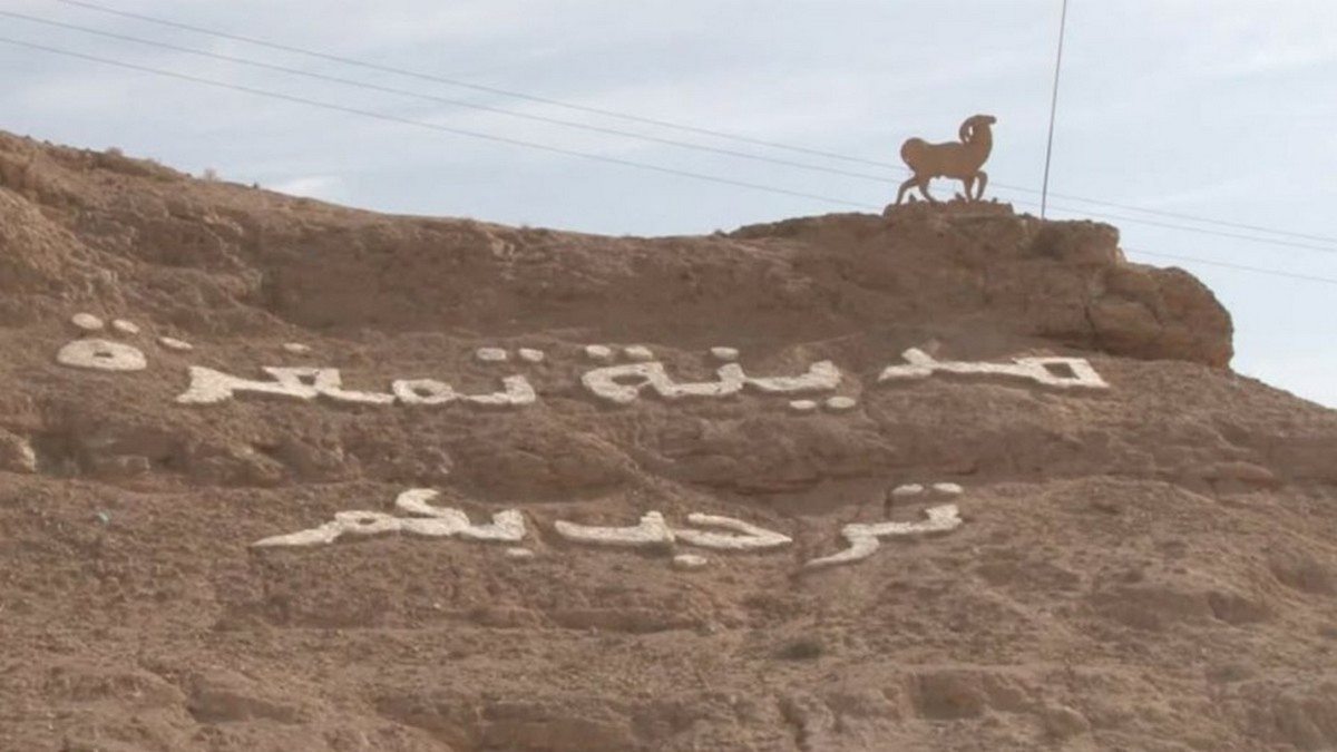 تمغزة: إحداث دائرتين بلديتين