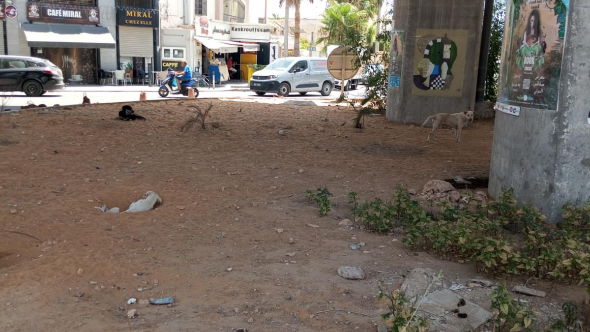 صفاقس : طريق القائد  محمّد الاسم  العالي والرمبوان الفضيحة