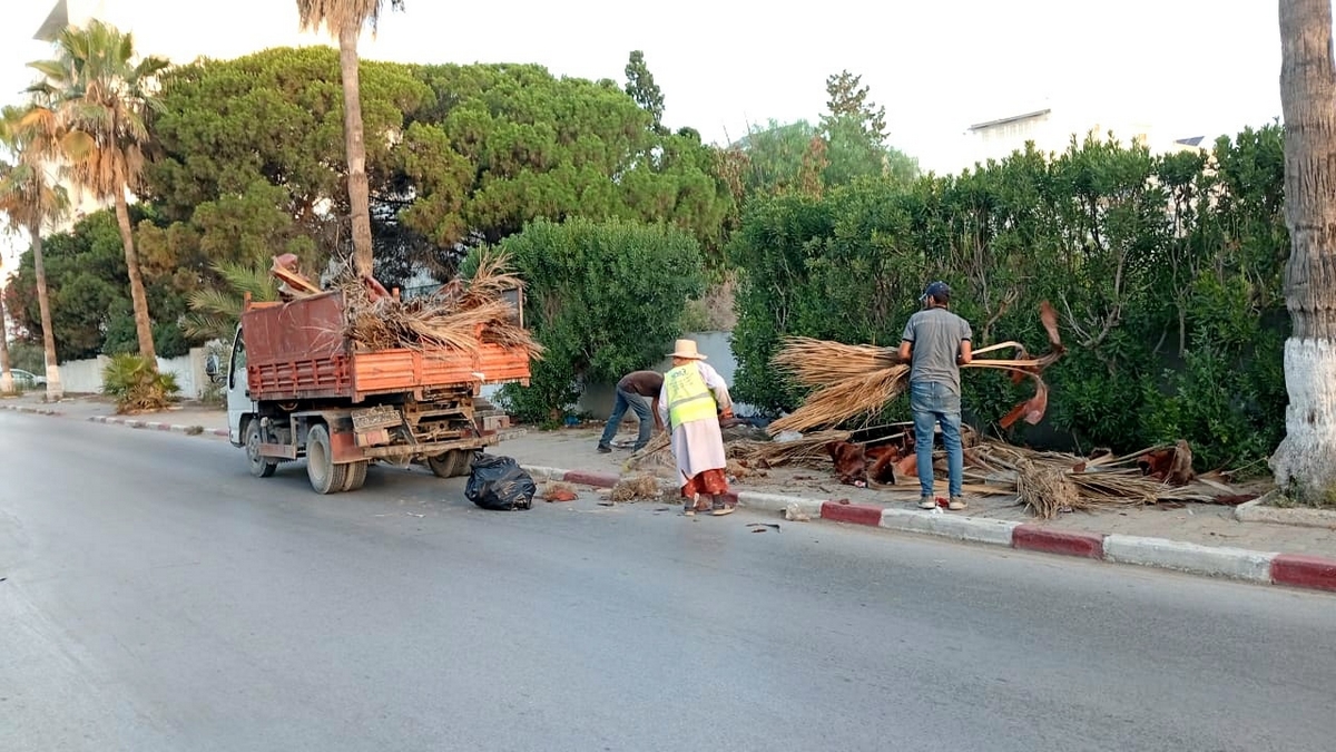 بلدية نابل ترفع بقايا تقليم الاشجار