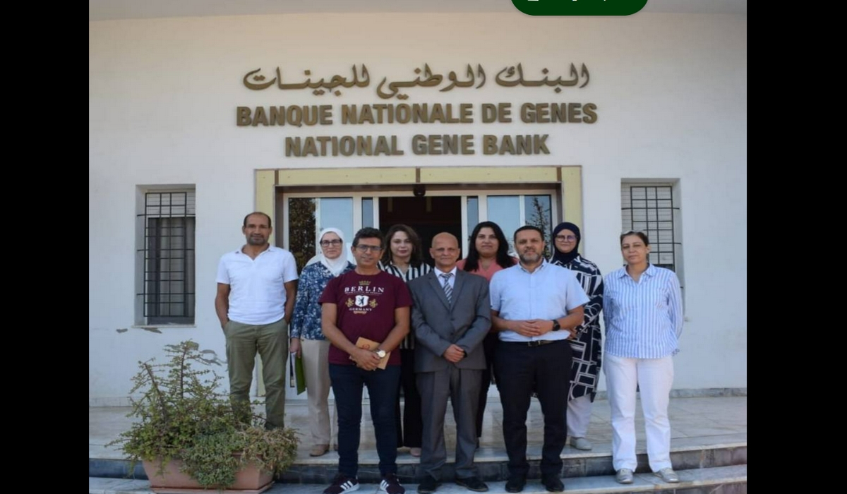 جلسة عمل بمقر البنك الوطني للجينات