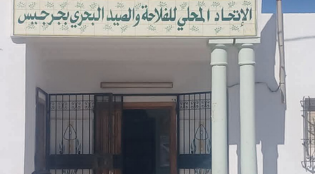 جرجيس : رئيس الاتحاد المحلي للفلاحين يدعو الى التدخل لتمكين اشجار الزيتون من حصص ري تكميلي