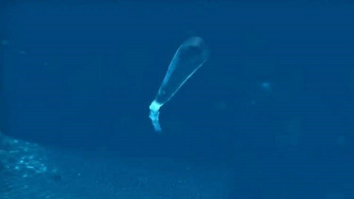 بوتين يعلن عن نجاح اختبار طوربيد 