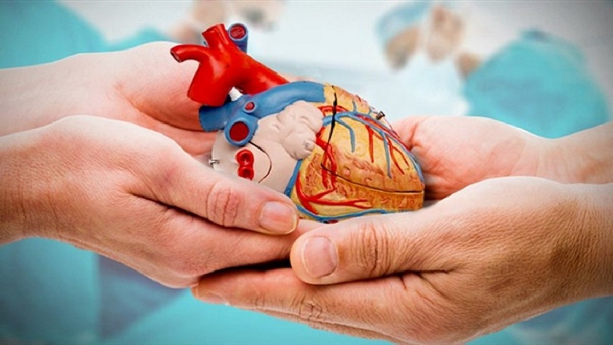 المركز الوطني لزرع الأعضاء: مؤشرات التحسّن 'لا ترتقي' للحاجيات الوطنية..