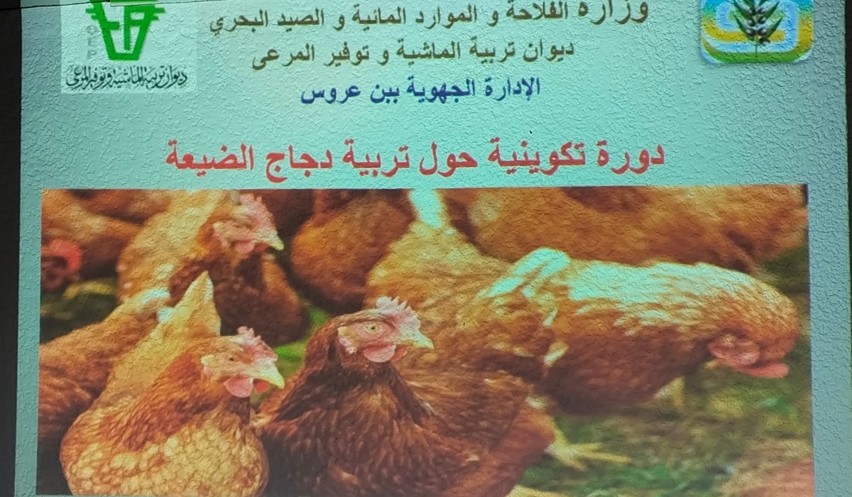بن عروس : دورة تدريبية في مجال 