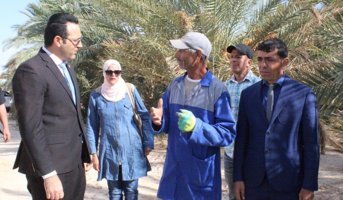 توزر: والي  الجهة يؤدّي  زيارة ميدانيّة الى معتمديّة حامة الجريد