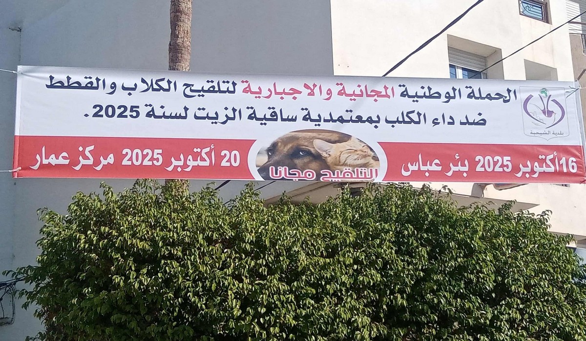 صفاقس انطلاق الحملة الوطنيّة والاجبارية لتلقيح الكلاب  والقطط