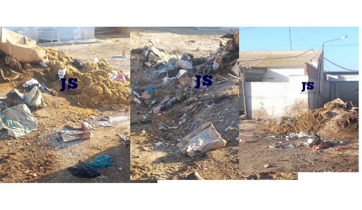 صفاقس : صور  من  محيط المسلخ  البلدي ...بقايا  الكرش ورؤوس في مشهد مُقززّ!!