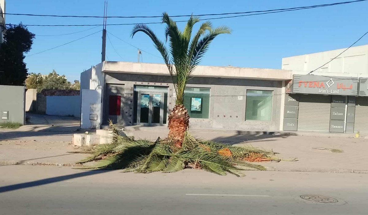 صفاقس بلدية ساقية الزيت  تشرع  في تقليم الاشجار