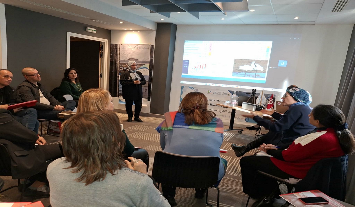 صفاقس تحتضن منتدى علميا حول التنوع البيولوجي لجزر الكنائس