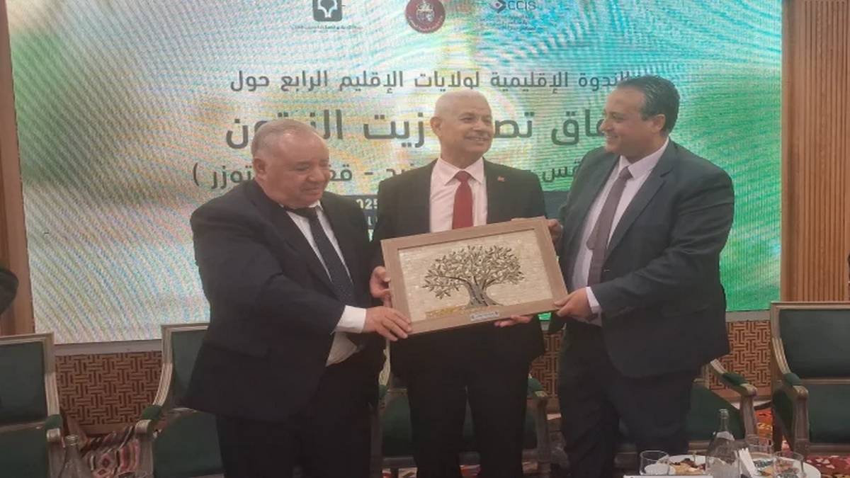 وزير التجارة: تم جني رُبع صابة الزيتون ولا بُدّ من التسريع في النسق