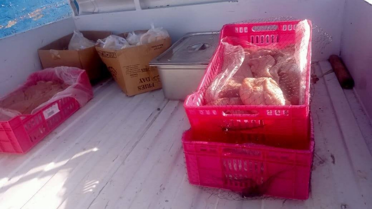 سوسة : حجز 215 كيلوغرام من لحوم الدواجن مخزنة ومنقولة في ظروف غير صحية