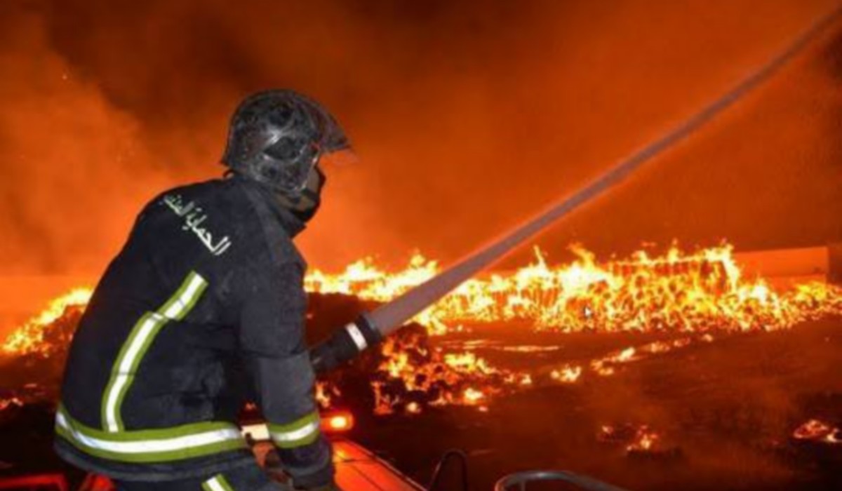 حين يكون العطاء لغة… وتكون المحبّة مكافأة لا تُقدّر بثمن...بقلم: أشرف المذيوب