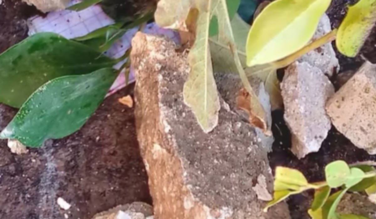 بلدية سليمان تؤمّن محيط الجامع الكبير بعد تساقط حجارة من صومعته