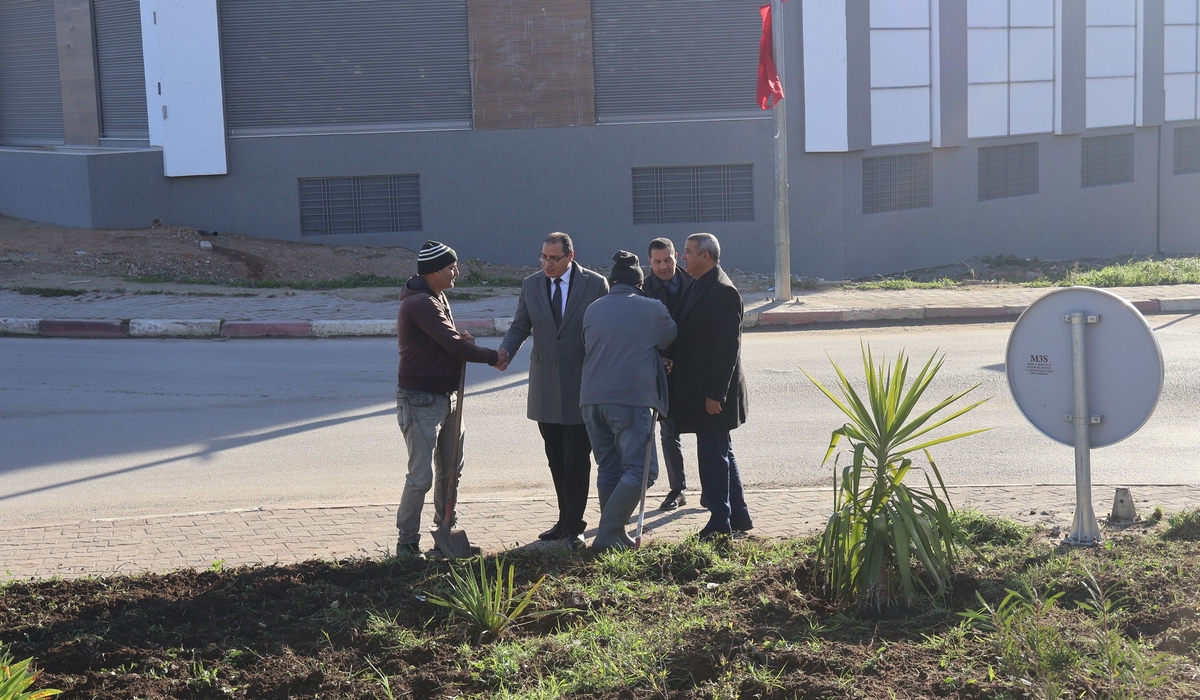 العناية بجمالية مداخل مدينة باجة