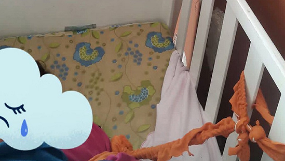 دعوة لغلق المحاضن العشوائية