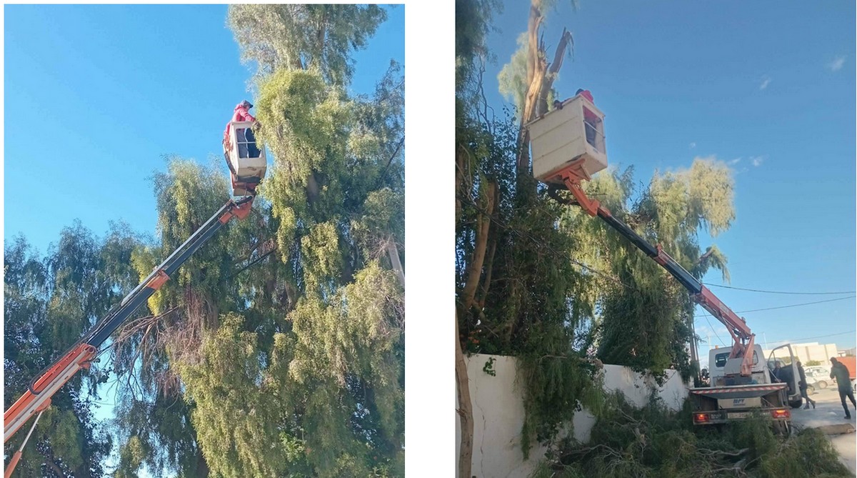 صفاقس : بلدية العين  تستبق  الاحداث وتشذب  الاشجار