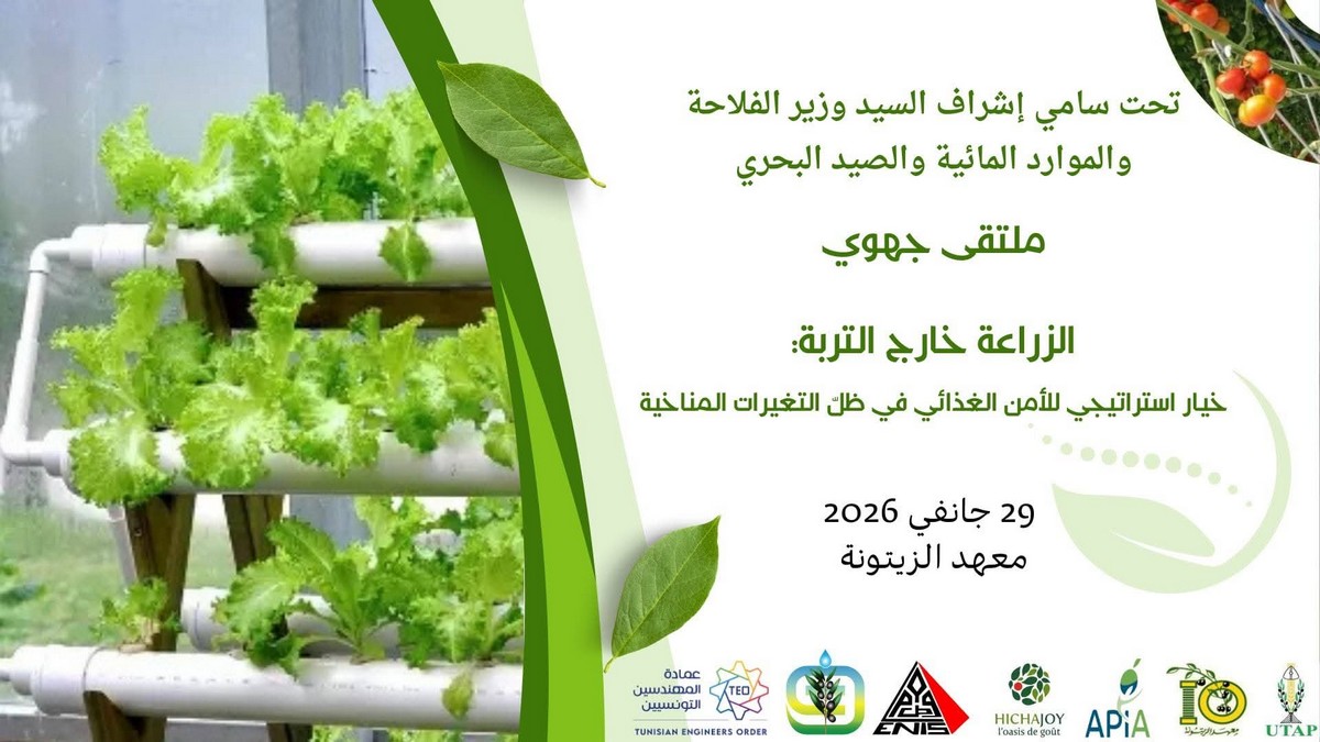 ملتقى جهوي حول الزراعة خارج التربة: خيار استراتيجي للأمن الغذائي