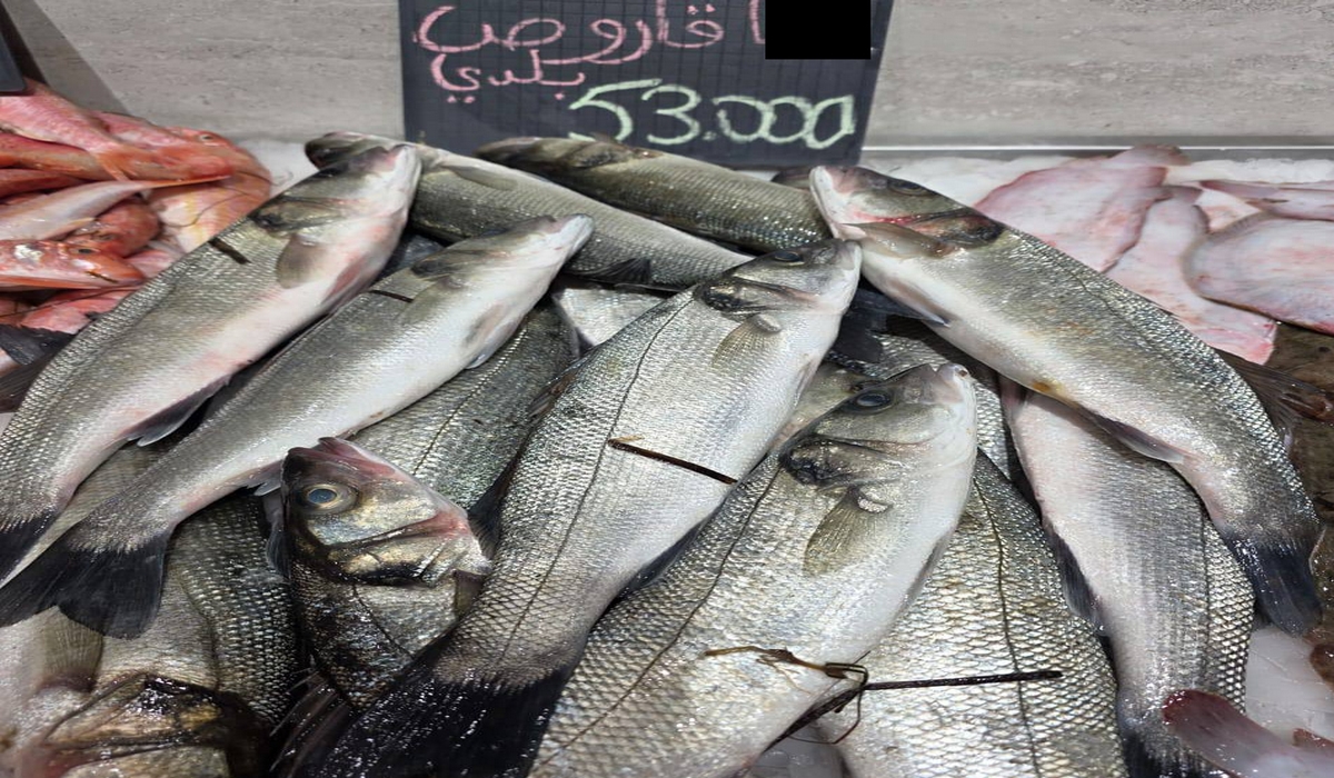 صفاقس : قُبيل حلول شهر رمضان ارتفاع غريب ومُريب لأسعار السمك