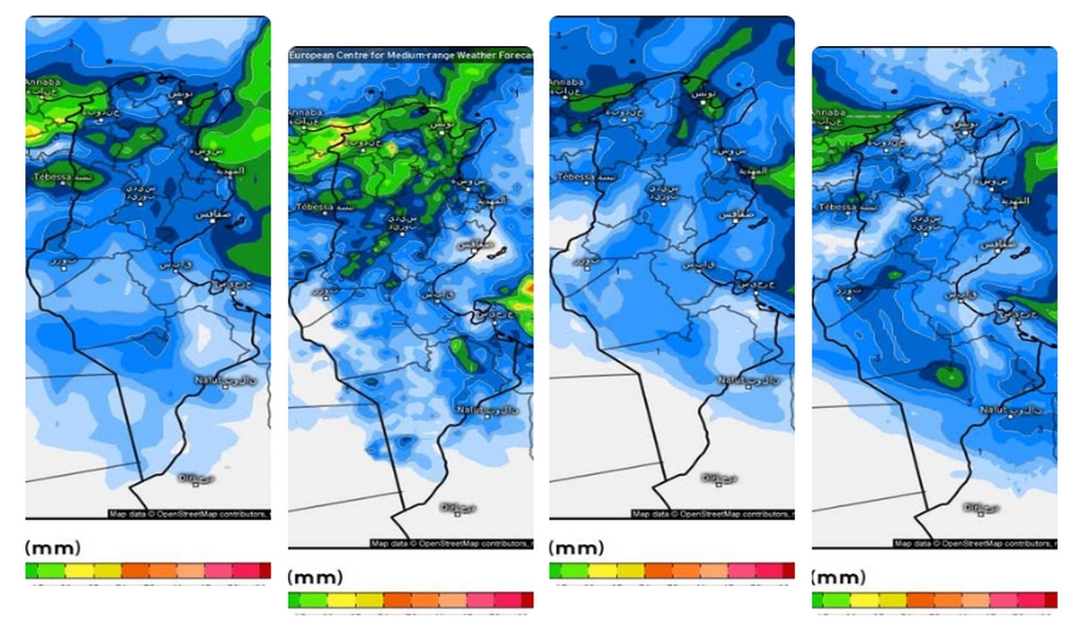محرز الغنوشي : الأمطار ستعود بقوة فجر الغد والحذر واجب