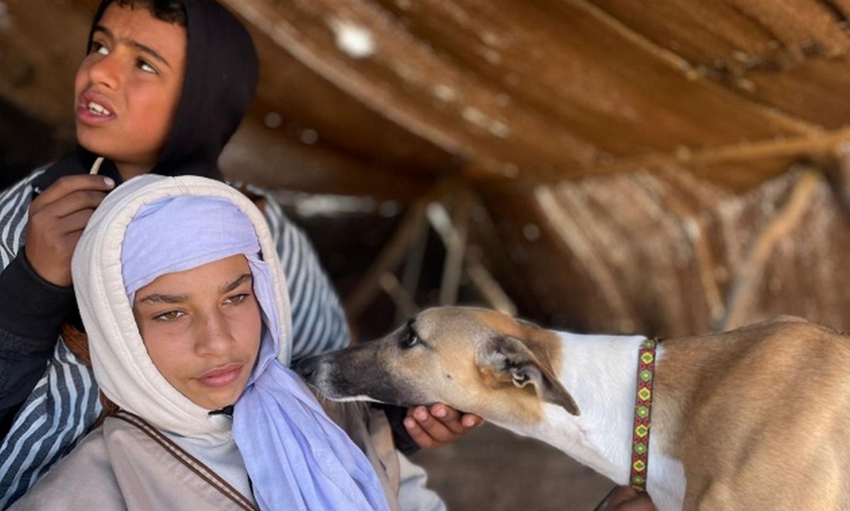 تنظيم الدورة 8 من المهرجان الدولي لسباق السلوقي بدوز