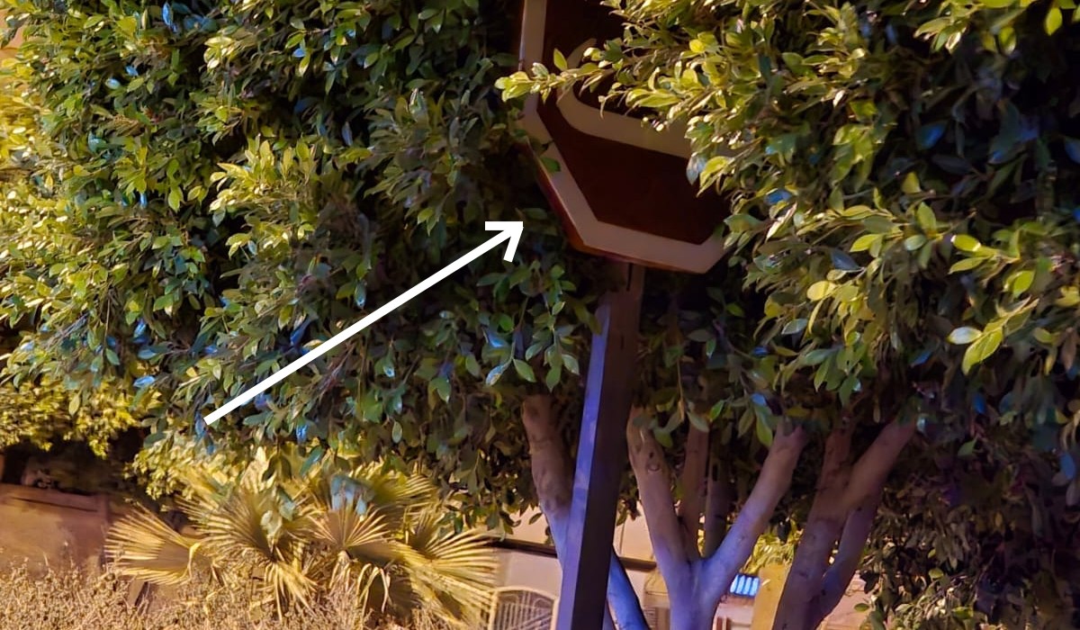 صفاقس : ظاهرة غريبة ..من يقوم بتغيير اتجاه لافتات الاشارات المروريّة