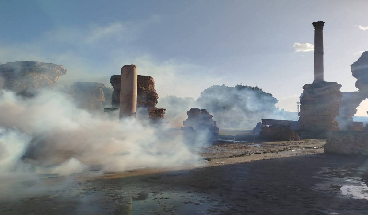 قرطاج تحافظ على تراثها: حملة استثنائية لتعزيز سلامة المواقع الأثرية.