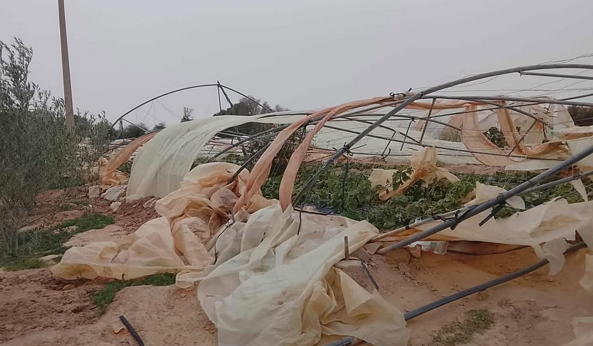 قابس الوقوف على الأضرار الفلاحية بالحامة الغربية