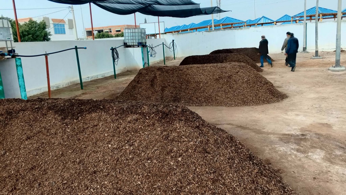 بلدية العين :تجربة نموذجية في تثمين النفايات وتحويلها إلى سماد مفيد