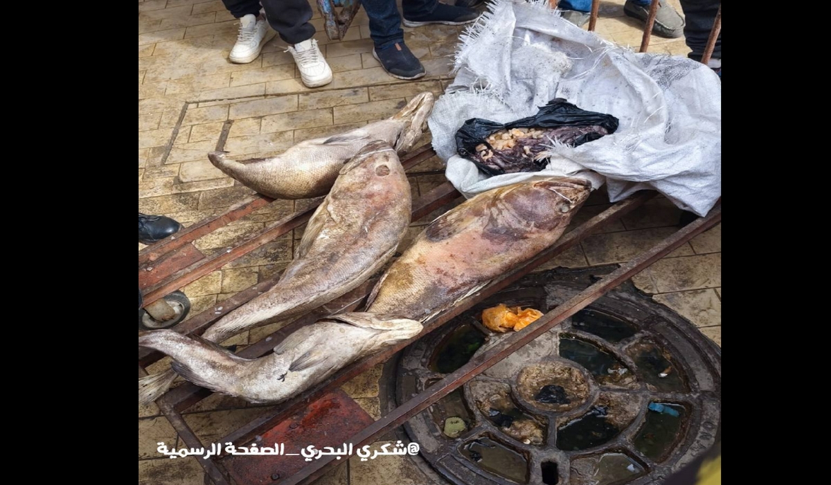 صدمة من سوق الحوت باب الجبلي في صفاقس…