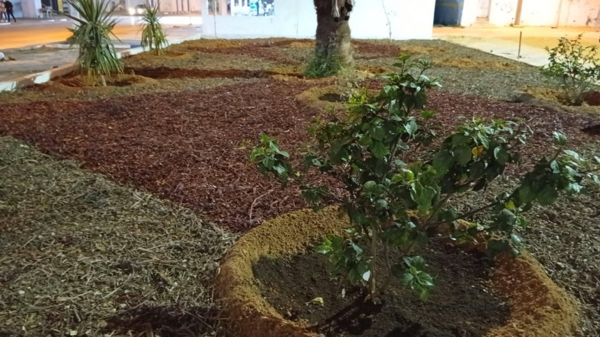 صفاقس بلدية  العين  تستعمل بقايا الرحي لتسميد الحدائق