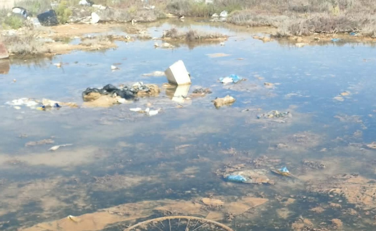 قرقنة : نقطة ماء راكدة اليوم… مئات الحشرات غدوة