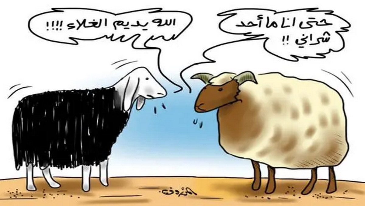 صفاقس أسابيع قبل عيد الأضحى: بين  إرضاء المواطن وإنصاف المربي.